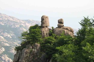 红瓦绿树 碧海蓝天 崂山仰口 空中花园 亲近自然一日游 赠双程索道 市内三区免费接送