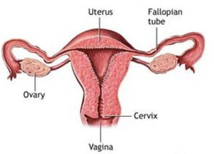 子宫囊肿严重吗有什么危害（子宫囊肿带给女性的伤害有多大）-图5