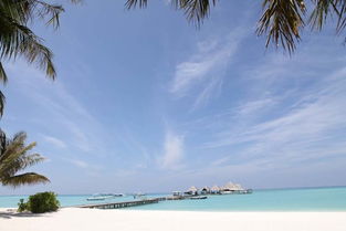马尔代夫康莱德岛游记海滩与热带雨林的绝美结合