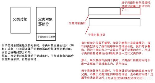 继承份额怎么分割？