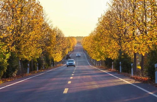 南京江北有个好听的农村公路品牌 茉莉乡路