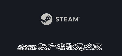 steam账户名称怎么取