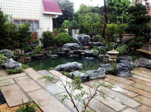 庭院鱼池 10个花园庭院鱼池设计,让它成为花园的 点睛之笔