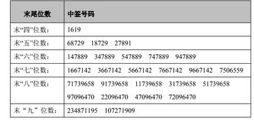 股票中签号码在网上在哪里查？