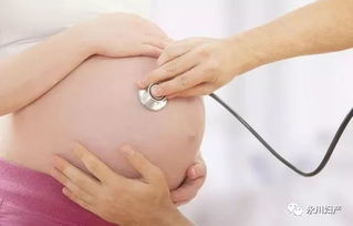 孕期检查的最佳时间 怀孕什么时候检查最好