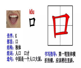 各组词加解释词语造句  各字是什么偏旁部首？