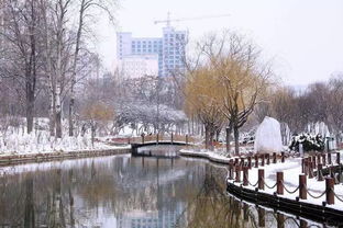 早上好,潍坊下雪了,送你2018年最美的雪景 