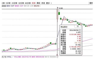 新公司发行的股价是根据什么去定义的