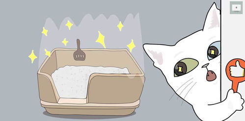 如何选择一款合适的猫砂盆