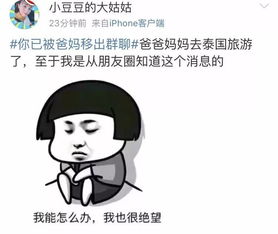 我被移出群是什么意思很没面子