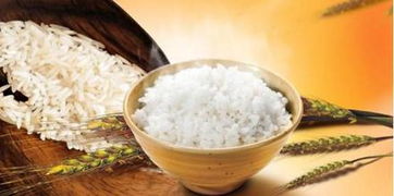 减肥时可以吃米饭吗