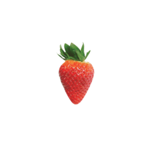 草莓草莓草莓草莓草莓草莓草莓 