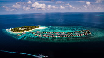 马尔代夫朱美拉岛一个美丽无比的海滩度假胜地