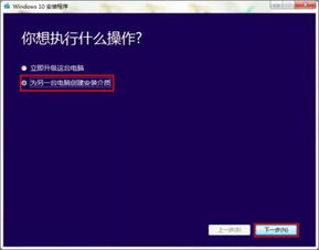 xps安装双win10