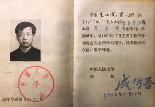 关于王小波毕业论文