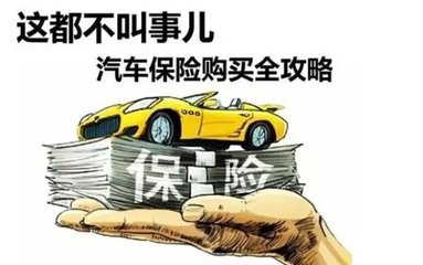 农用车入什么保险好,我要入保险(机车买保险的好处)