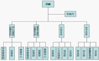 电商公司组织架构（电商公司组织架构及职责） 第1张