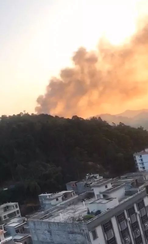 今日,高要某楼盘附近一山头起火 现场好紧要