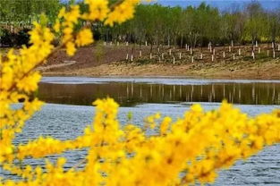 错过要等一整年 昌平春季赏花地图发布 9大去处约起来