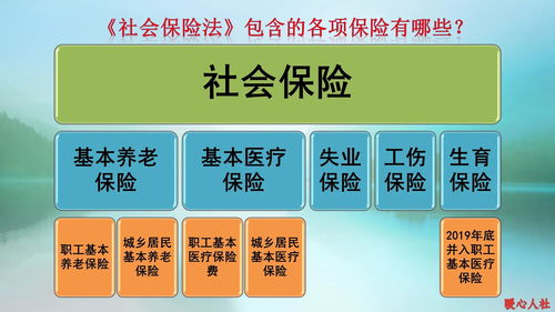 自由职业者怎么交养老保险最划算(灵活就业怎么优化养老保险)