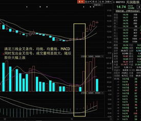 股票缩量后股票下跌阴量放大是什么意思