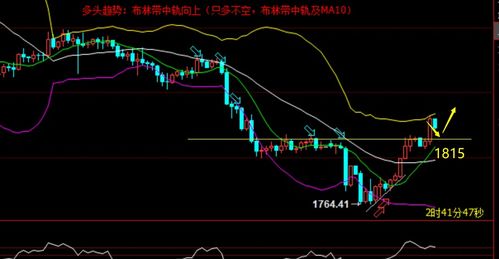 如何理解过度自信与归隐偏差,证实偏差,处置效应,羊群效应等投资现象