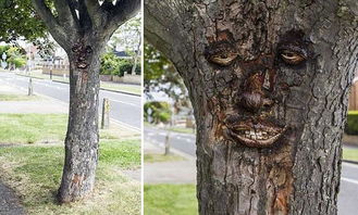 英国一棵树上 长了人脸 ,相当鲜明生动