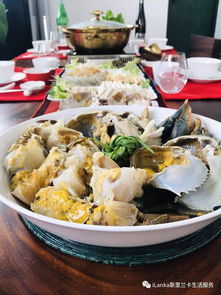 舌尖上的科伦坡 在水一方的海鲜火锅,斯里兰卡处女蟹的中国极致吃法