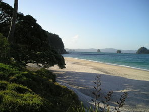 美丽的海滩,新西兰,海滩,海岸,南岛 