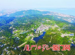 厦门市委市政府不忘初心牢记使命 全面拆违攻坚守护绿水青山