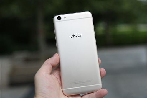 oppo A77和vivo Y67哪个好