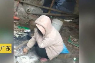 湖南少女离家出走,被发现时在广东养猪场,父母 幸好不是去酒吧