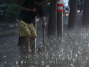 经常梦到下暴雨