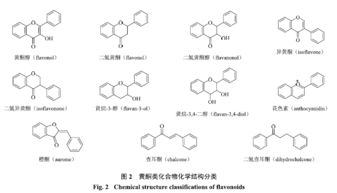 黄酮类化合物毕业论文