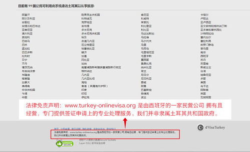如何在线申请土耳其电子签证(土耳其共和国电子签证申请系统)