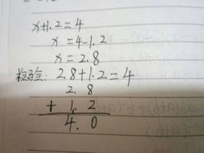 5x=5方程和检验怎么算
