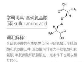 茶里含氨基酸是什么-图1