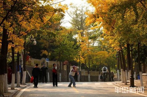 八大关景区绿化再上新台阶！‘一心两环十六景’温情绵绵