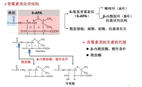 基团是什么？