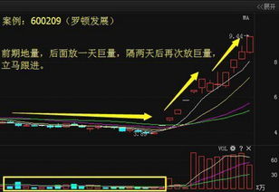 涨停每日一招：如何精准选股