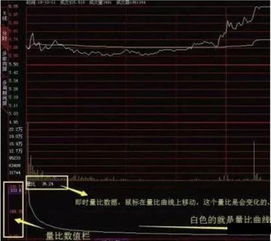 涨停板追股，怎么看涨停板挂单顺序，想知道自己挂的单前面还有多少，看还能不能成交。