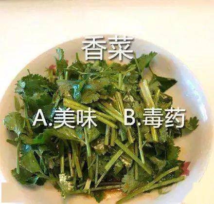 为什么有这样一群人 不要香菜 不要香菜 都说了不要香菜