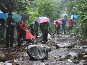 暴雨和洪水灾害来临时 你知道如何自救么 