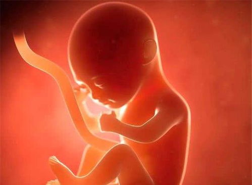 原创胎儿脐带发育异常必须剖腹产吗