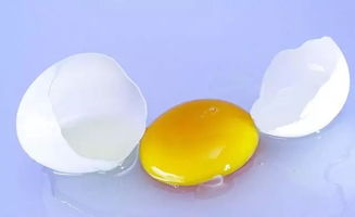 实用 鸡蛋掉在地上难清理 教你一招,鸡蛋一下清理的干干净净