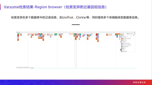 性工具是什么意思？