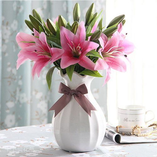 瓶高的花瓶适合养百合花 玫瑰花 郁金香 康乃馨吗