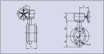 雙偏心法蘭蝸桿式手動蝶閥的安裝方向(雙偏心蝶閥流向)(圖1)