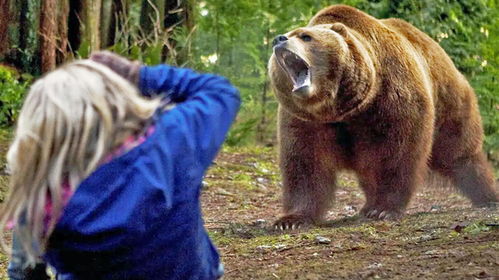 丛林里,一只巨大的熊,开始疯狂袭击人类,想逃都逃不了,惊悚片