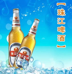 代理珠江啤酒需要多少钱